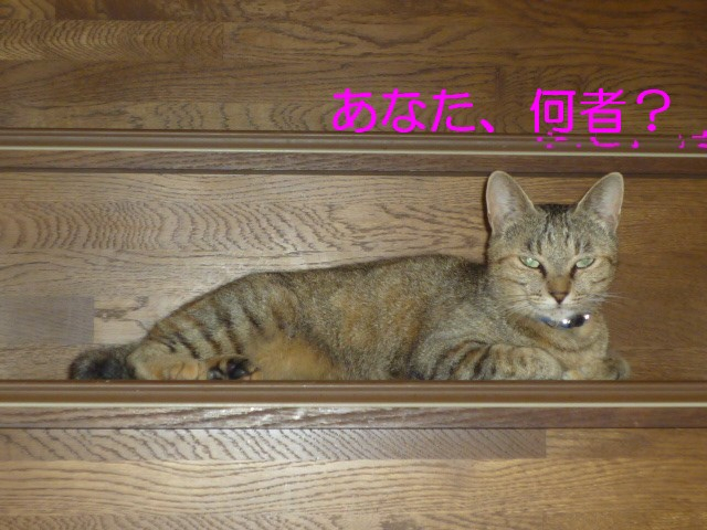 P10007092