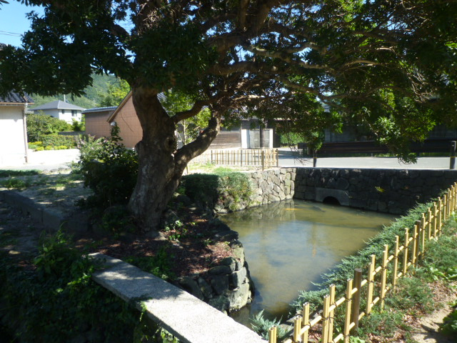 P1120058