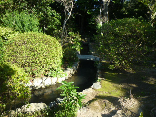 P1120116