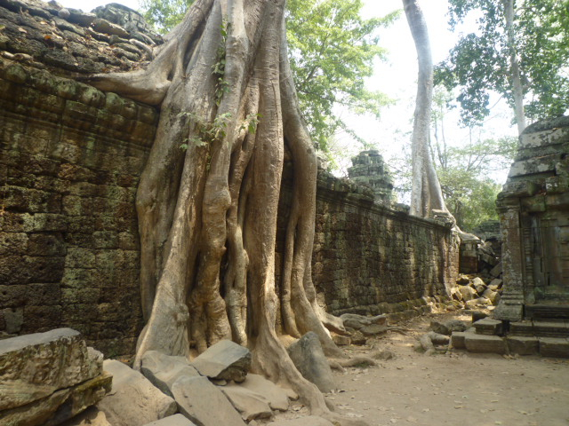 P1120504