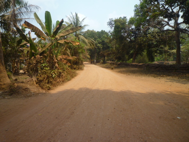 P1130006
