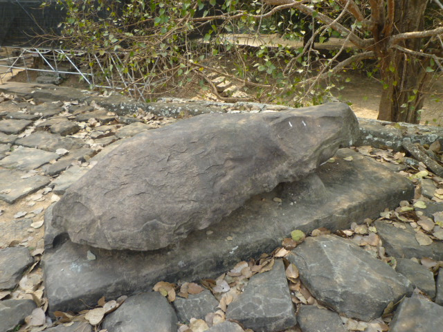 P1130040