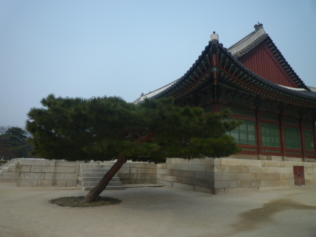 P1130322